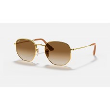Ray Ban Hexagonal Collection I-Shape RB3548 Sunglasses Light Brown Gold